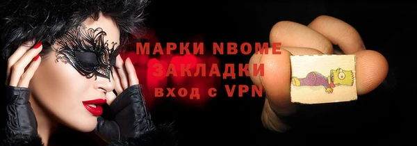 шишки Богородск
