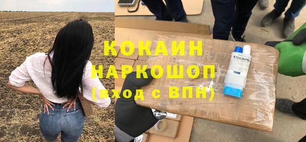 шишки Богородск
