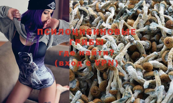 прущая мука Богородицк