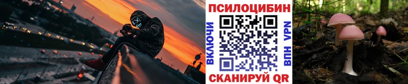 Купить закладки  Биробиджан  Псилоцибиновые грибы ЛСД 