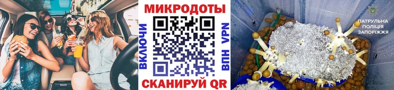 Псилоцибиновые грибы Magic Shrooms Биробиджан