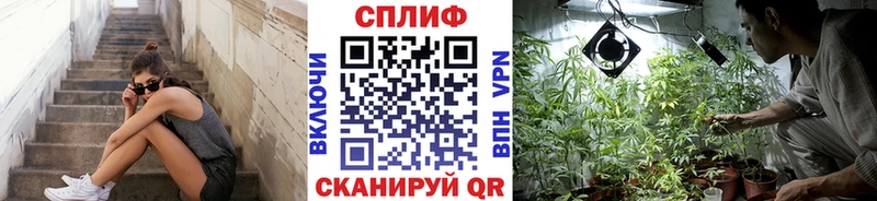 Купить закладки  Биробиджан  Канабис планчик 